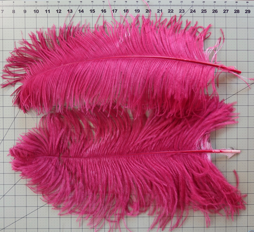 Ostrich Tip Dyed Wing Feathers  Ostrich Plumes for Sale Online