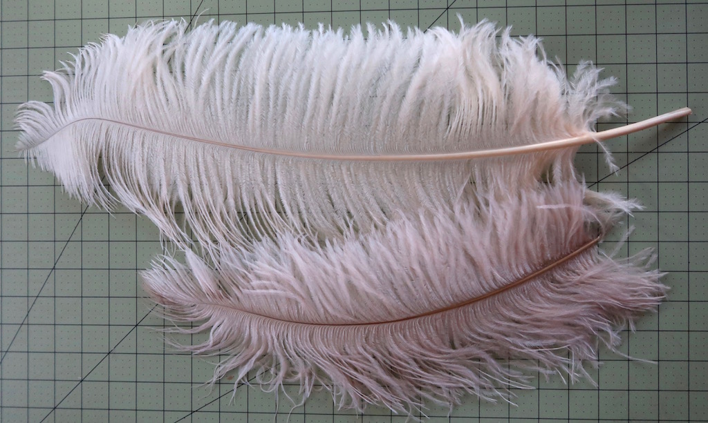 How to choose Ostrich Feathers – …out of a portrait