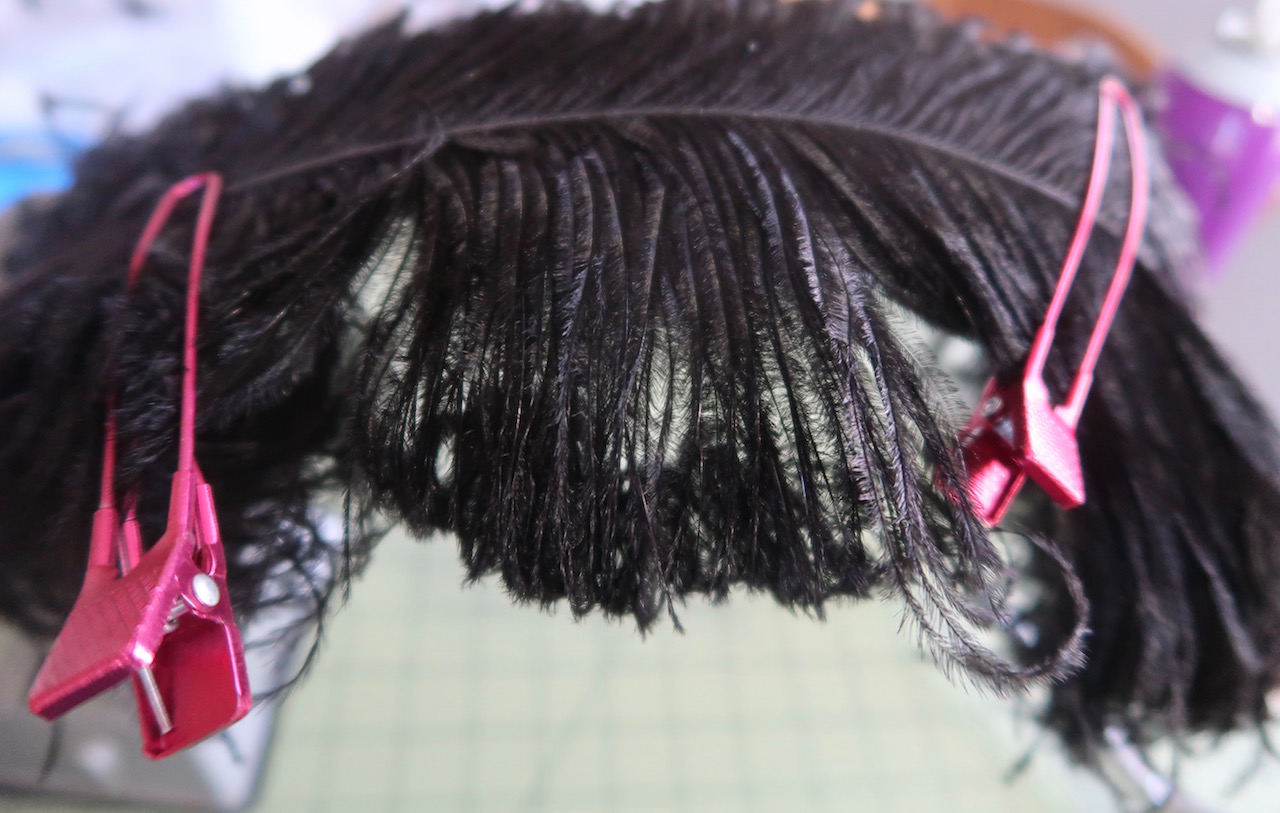 How to Curl Ostrich …out of a portrait