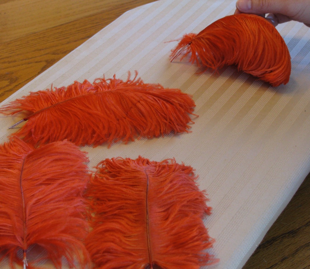 V277: Working With Ostrich Feathers: Plumes, Drabs, and Spads – American  Duchess Blog